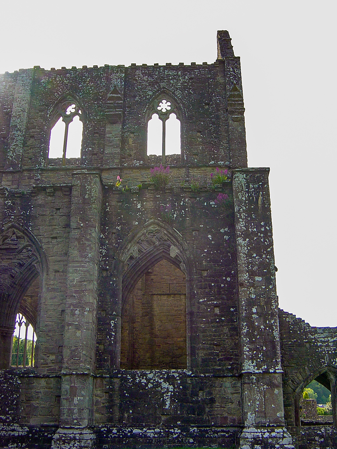Tintern Abbey Wales 2005
